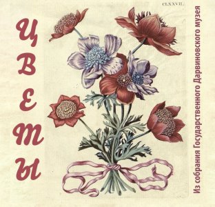 Цветы. Комплект открыток