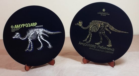 «Чёрная пятница» в Дарвиновском музее 