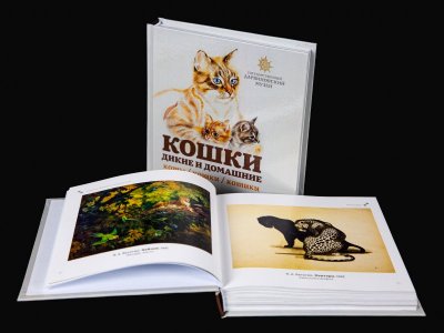 Кошки: дикие и домашние 