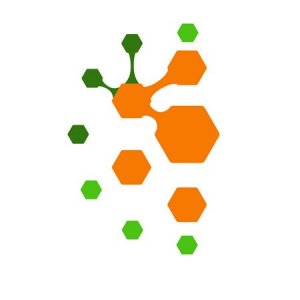 Итоги IV международной конференции «Современные проблемы биологической эволюции»