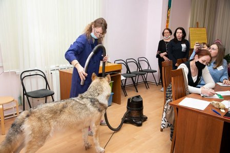 «Естественно-научный музей: формирование, учет и хранение коллекций; просветительская деятельность»