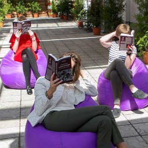 «Год серого гуся»