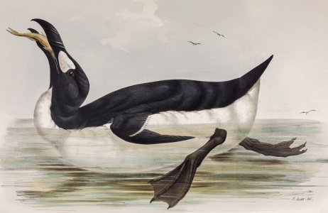 Тематический день на выставке "Птицы-рыболовы"