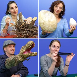 Развивающие онлайн-занятия для детей