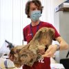 Новые поступления в коллекцию ГДМ