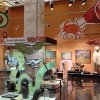 Кураторская экскурсия по выставке «Есть, чтобы жить»