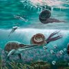 Каменная летопись нашего края