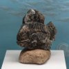 Дар музею – 10 авторских скульптур в жанре палеоарт заслуженного камнереза В. А. Илюхина