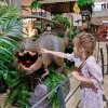 2 миллиона человек посетили фестиваль «Динозавры на каникулах» в ЦДМ на Лубянке