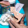 В Дарвиновском музее открывается Летняя мастерская