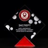 Дарвиновский музей выступил экспертом кейс-чемпионата по музейному туризму «Прогулки по Москве»