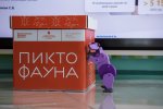 Игротека "Пиктофауна" теперь есть в нескольких отделениях Клиники доктора Рошаля