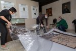 Реэкспозиция витрины «Зарождение генетики» и «Геногеография»