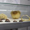 В Елабуге открылась выставка «Невидимый мир эволюции» из собрания ГДМ