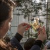 Мастер-класс по гербарию в стекле на выставке «Окно в сад» 