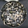 Художники-дизайнеры музея обнаружили 2 жестяные коробки с диафильмами 1940-ых годов
