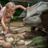 Летняя акция на «День рождения в Дарвиновском музее»