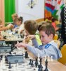 В музее состоялся шахматный турнир за "Кубок Дарвина"