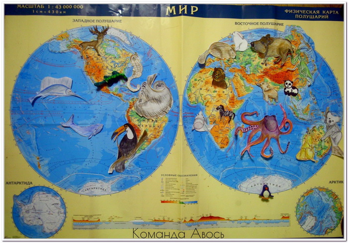 На каком материке серый волк восточного полушария. Животные на материках. Материки с животными для детей. Карта земли с животными. Карта животных по материкам.