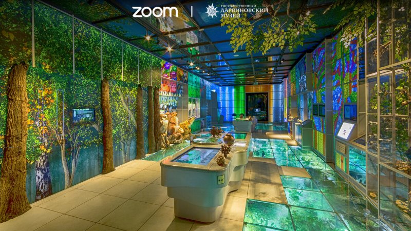 Zoom Wallpaper 2