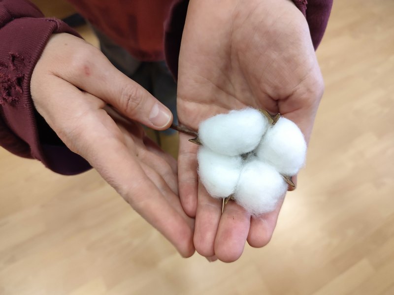 Эко-занятие Скрытые ресурсы