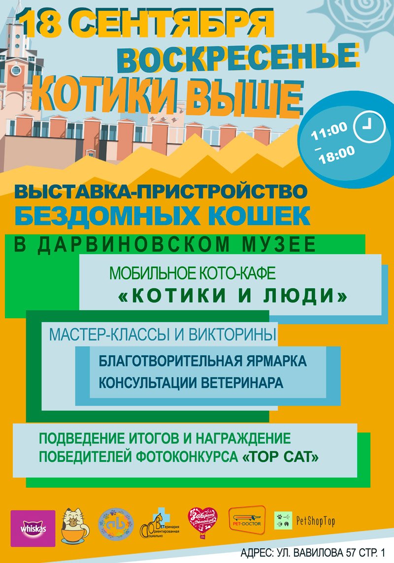 Котики выше