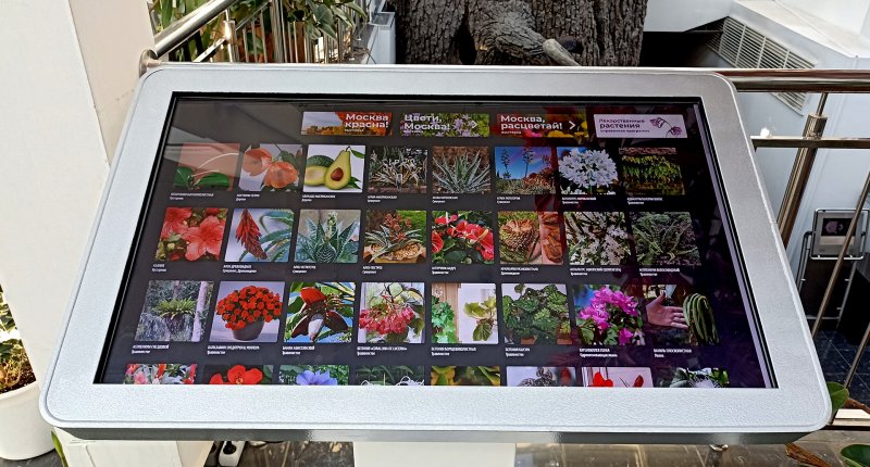 Программы в оранжерее