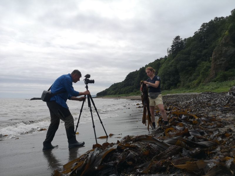 Биостанция Анива. Сахалин