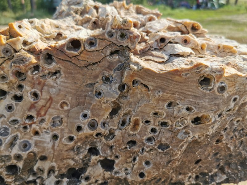 Фл-00912