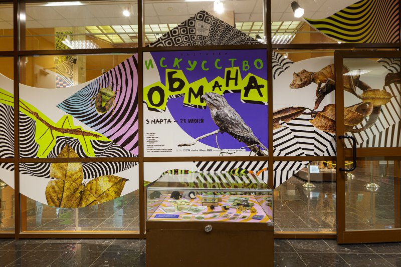 Кураторская экскурсия по выставке «Искусство обмана»