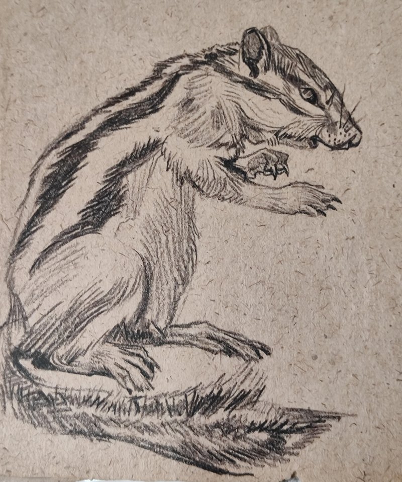 Торжественное открытие выставки От Москвы до Камчатки