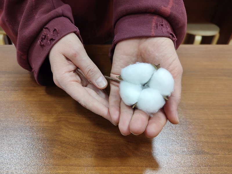 Эко-занятие Скрытые ресурсы