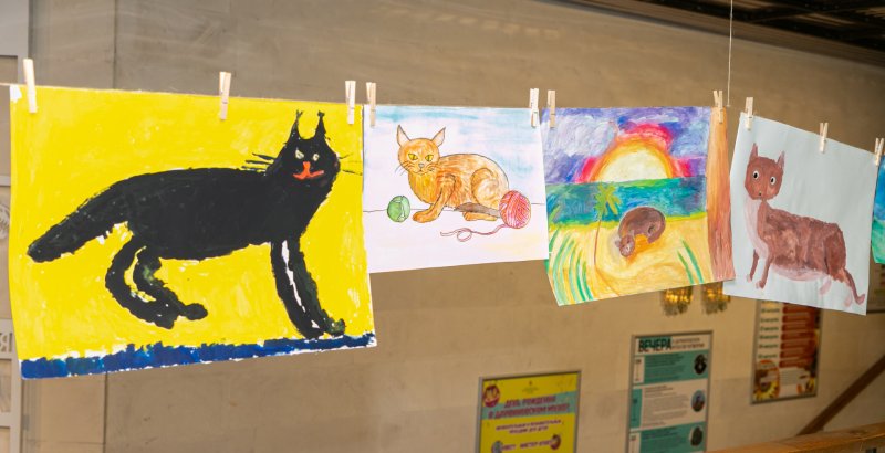 cat_day_3