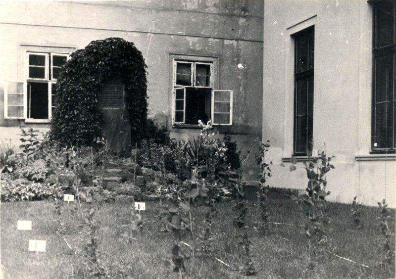Садик во дворе монастыря. Фотография из фондов мемориального музея Н. И. Вавилова при Институте общей генетики РАН