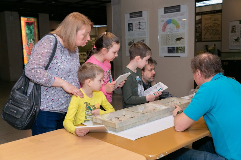 Обитатели водоёмов