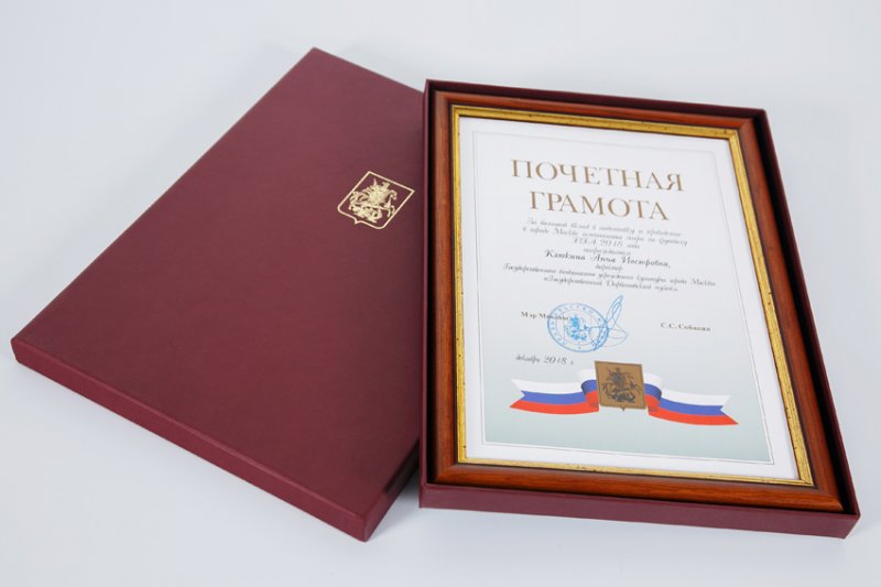 Почетная грамота мэра москвы