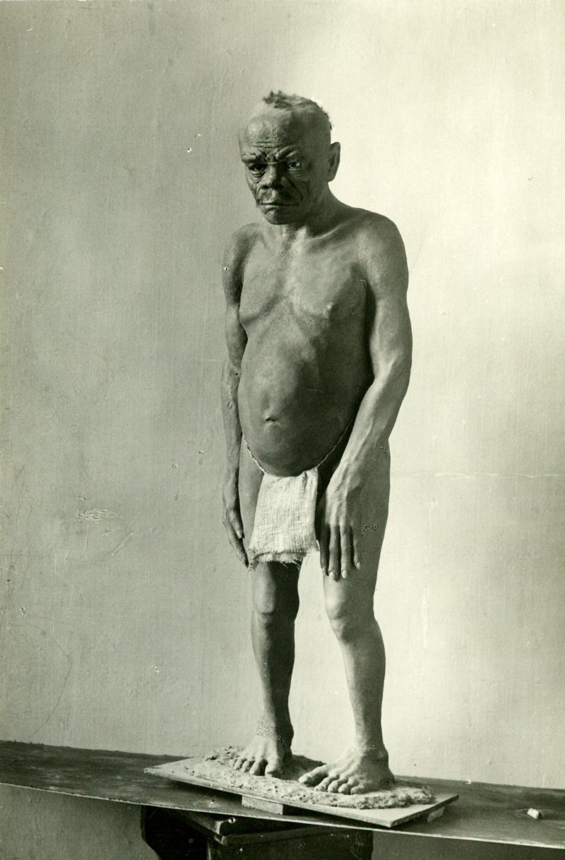 п. 38 КП_НВФ_15197_41_пигмей