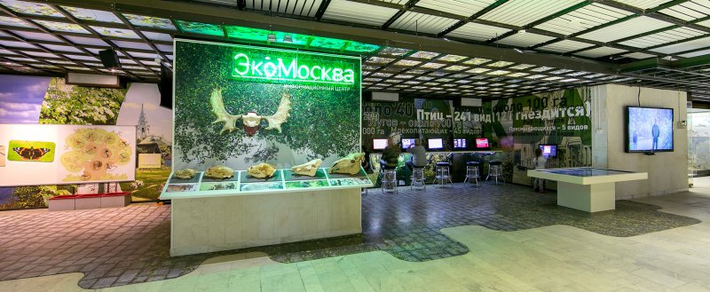 ДЕНЬ ПРИРОДЫ МОСКВЫ