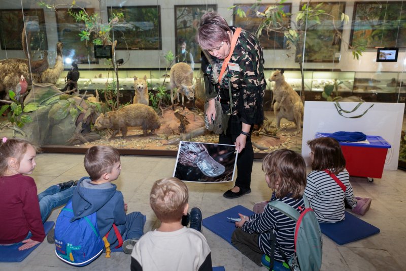 СК-3 Австралия