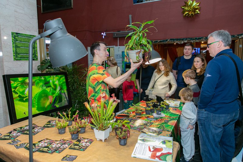 растения-хищники Сергея Куницына