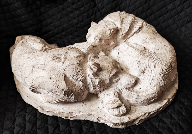 Торжественное открытие выставки От Москвы до Камчатки