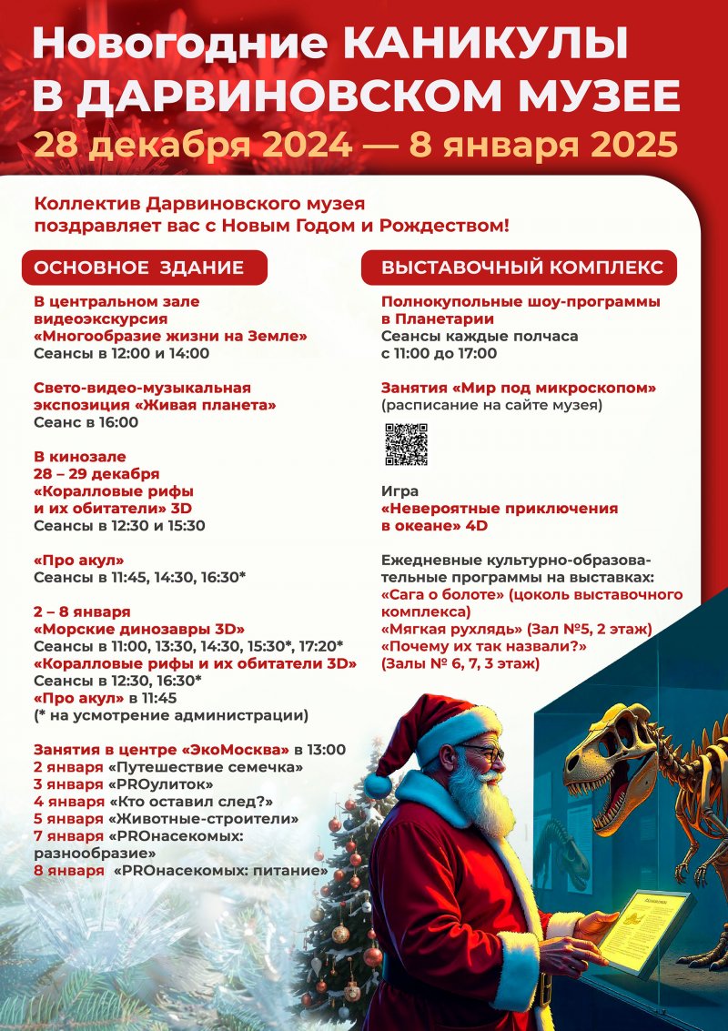 НОВОГОДНИЕ КАНИКУЛЫ 2024 / 2025