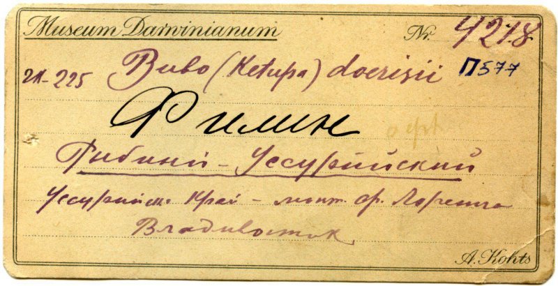 рыбный филин