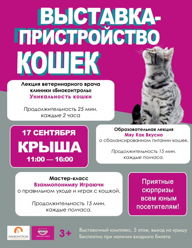 Выставка-пристройство КОШЕК