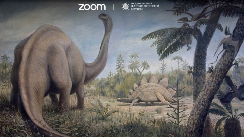 Zoom Wallpaper 4