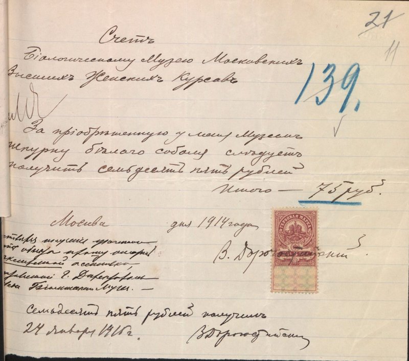 Счет от В.Ч. Дорогостайского Биологическому музею Высших женских курсов за шкурку белого соболя.