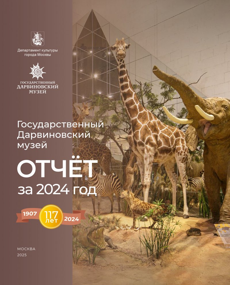 Отчет ГДМ 2024