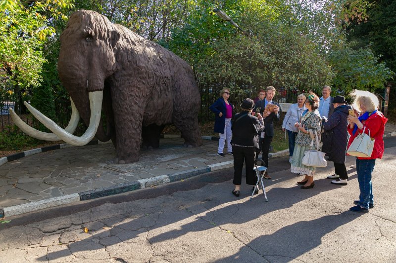 День старшего поколения