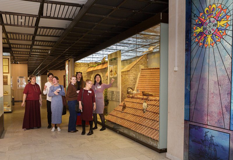 Курсы повышения квалификации сотрудников естественно-исторических музеев 2026