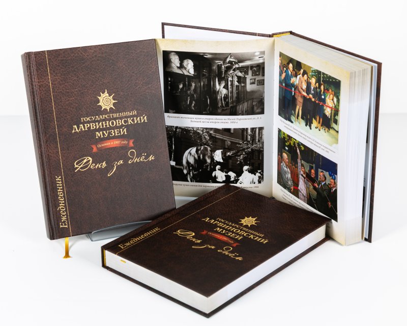 Ежедневник 2025